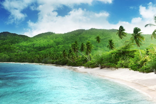 814537 (a): :2500x1667